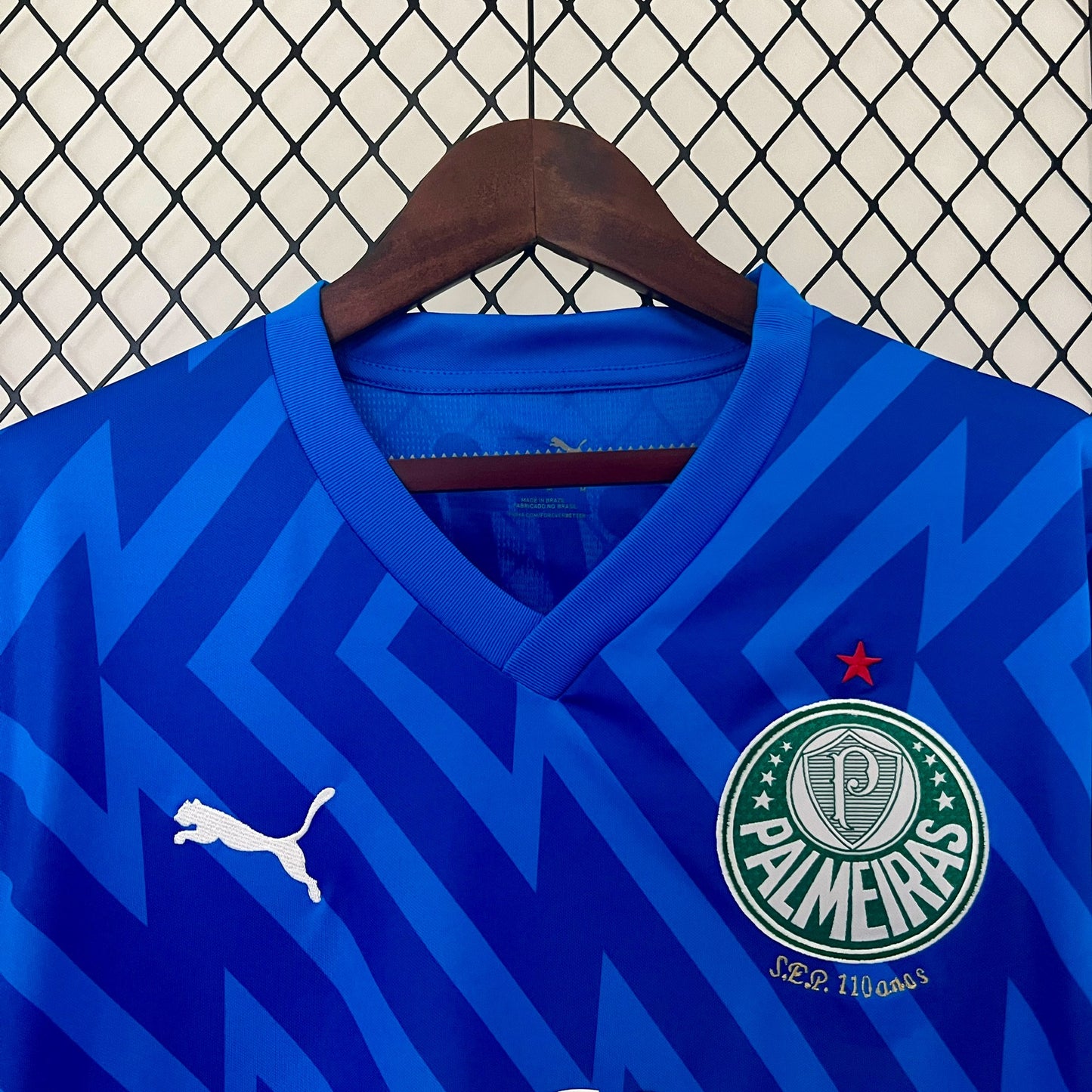 CAMISETA ARQUERO PALMEIRAS 2024 VERSIÓN FAN