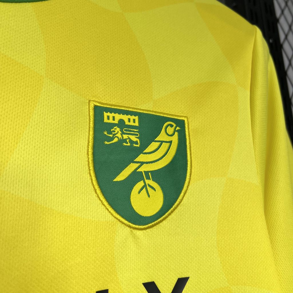 CAMISETA PRIMERA EQUIPACIÓN NORWICH CITY 24/25 VERSIÓN FAN