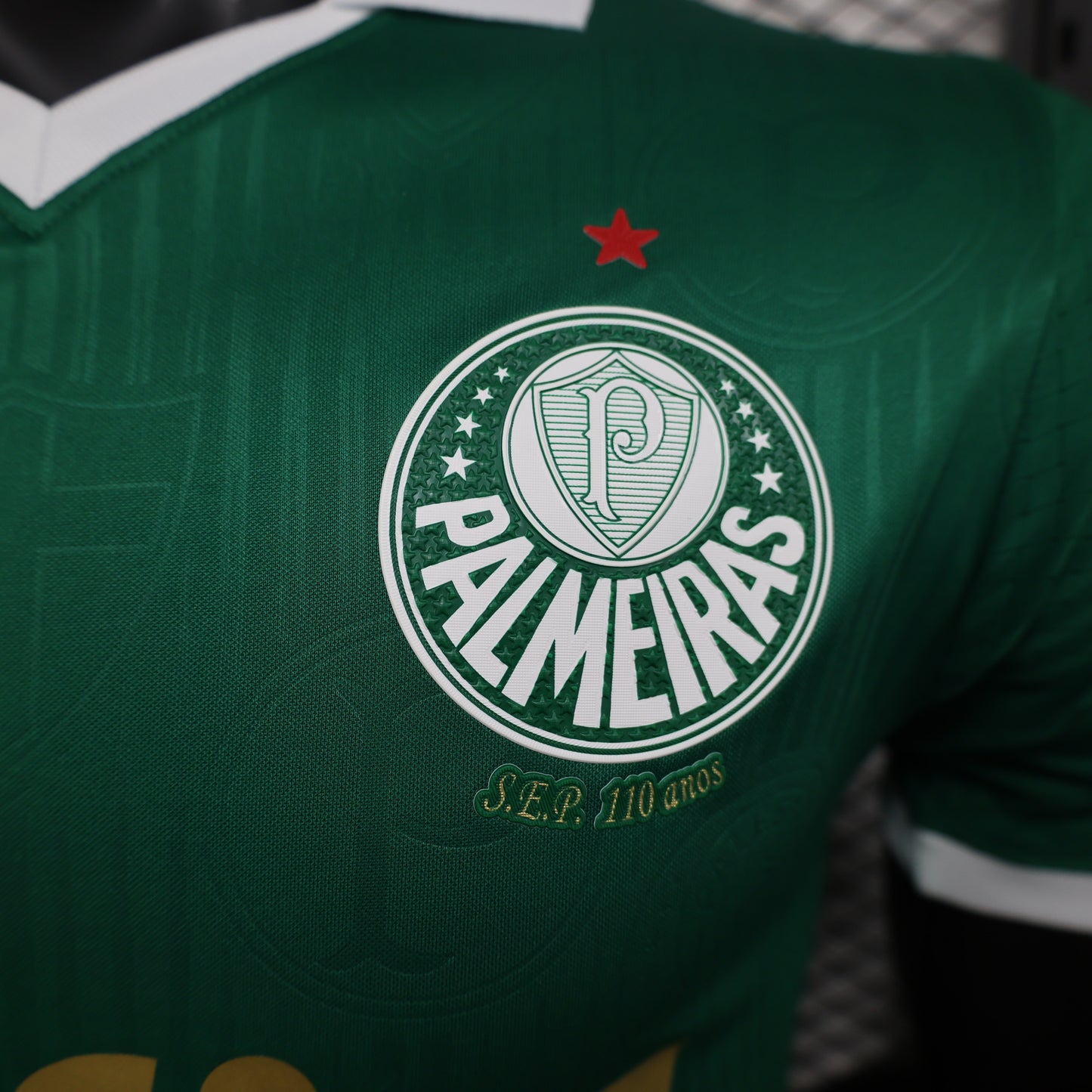 CAMISETA PRIMERA EQUIPACIÓN PALMEIRAS 2024 VERSIÓN JUGADOR