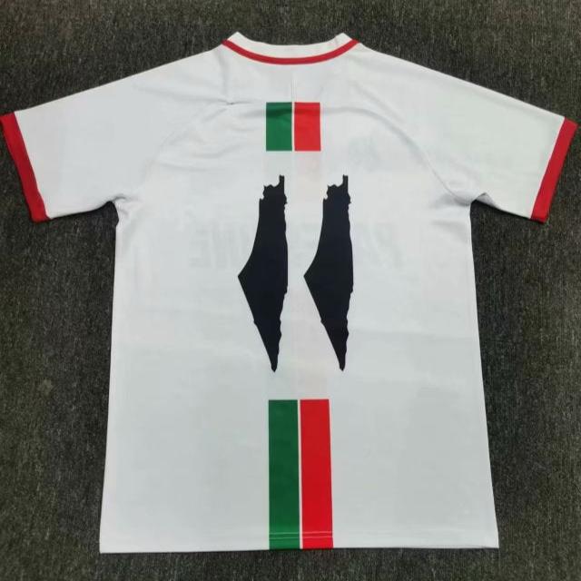 CAMISETA CONCEPTO PALESTINA 2024 VERSIÓN FAN