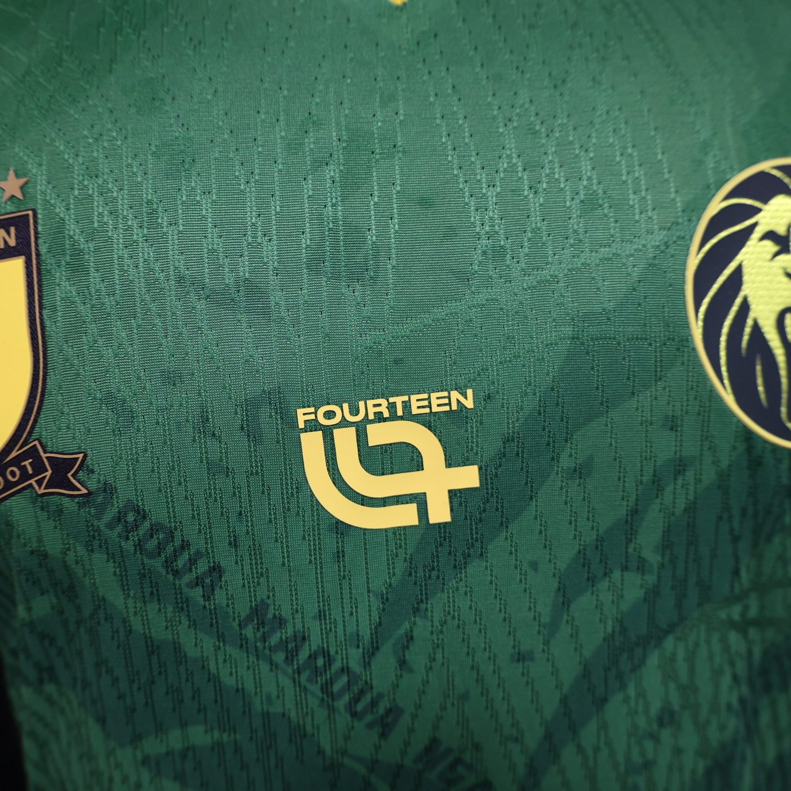 CAMISETA PRIMERA EQUIPACIÓN CAMERÚN 2025 VERSIÓN JUGADOR - Imagen 4
