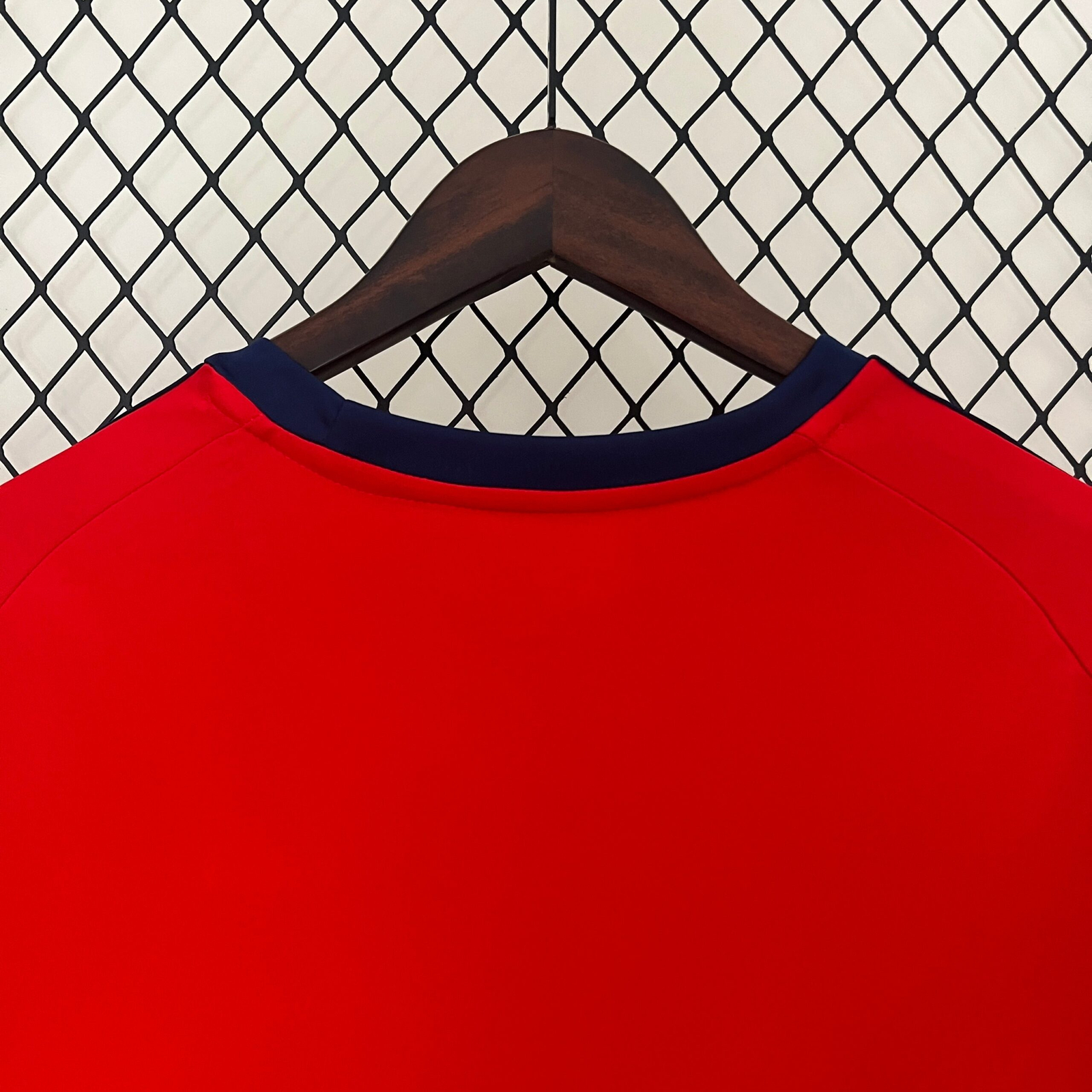 CAMISETA PRIMERA EQUIPACIÓN COSTA RICA 2024 VERSIÓN FAN - Imagen 9