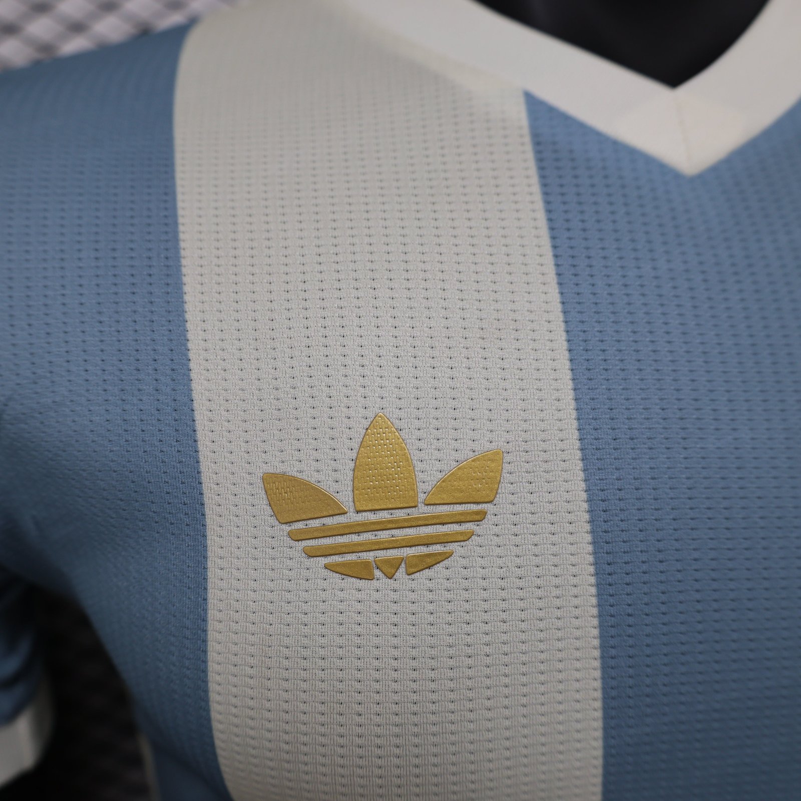 CAMISETA EDICIÓN ESPECIAL ARGENTINA 2024 VERSIÓN JUGADOR - Imagen 3