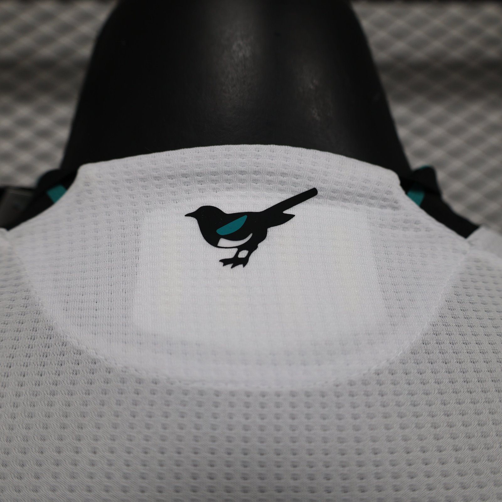 CAMISETA TERCERA EQUIPACIÓN NEWCASTLE 24/25 VERSIÓN JUGADOR - Imagen 11