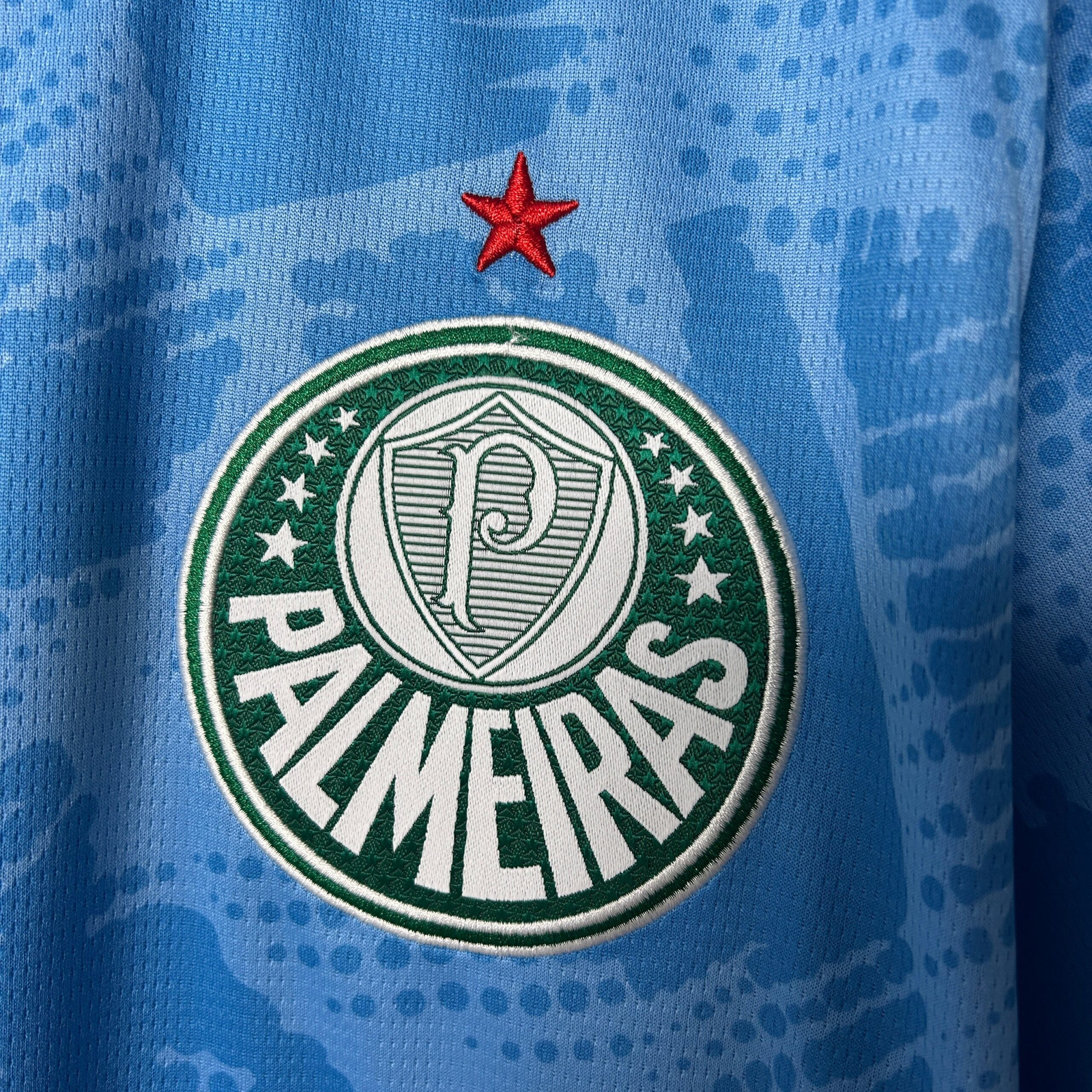 CAMISETA ARQUERO PALMEIRAS 2025 VERSIÓN FAN - Imagen 4