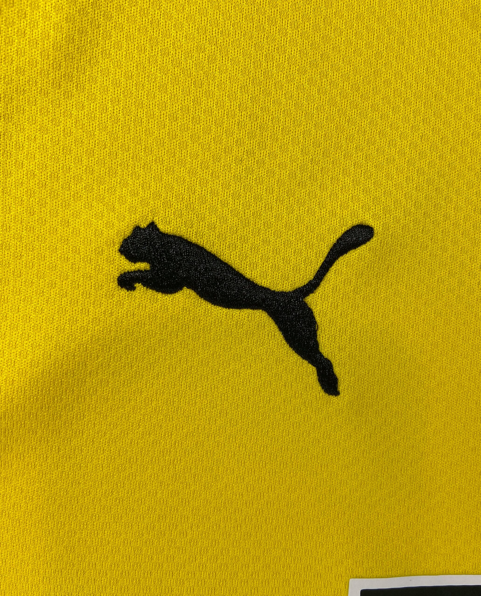 CAMISETA PRIMERA EQUIPACIÓN BORUSSIA DORTMUND 21/22 VERSIÓN FAN - Imagen 3