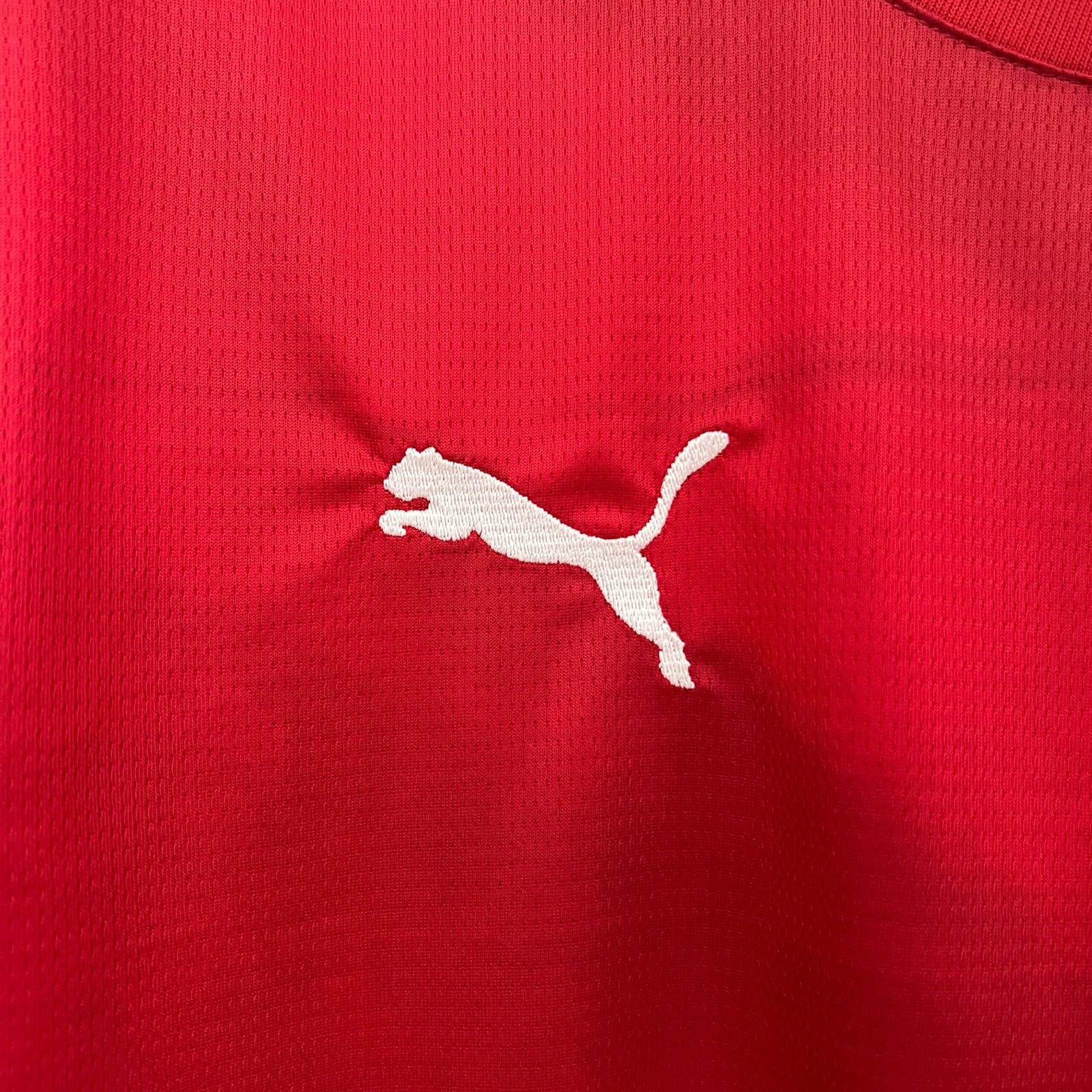 CAMISETA PRIMERA EQUIPACIÓN SERBIA 2024 VERSIÓN FAN - Imagen 3