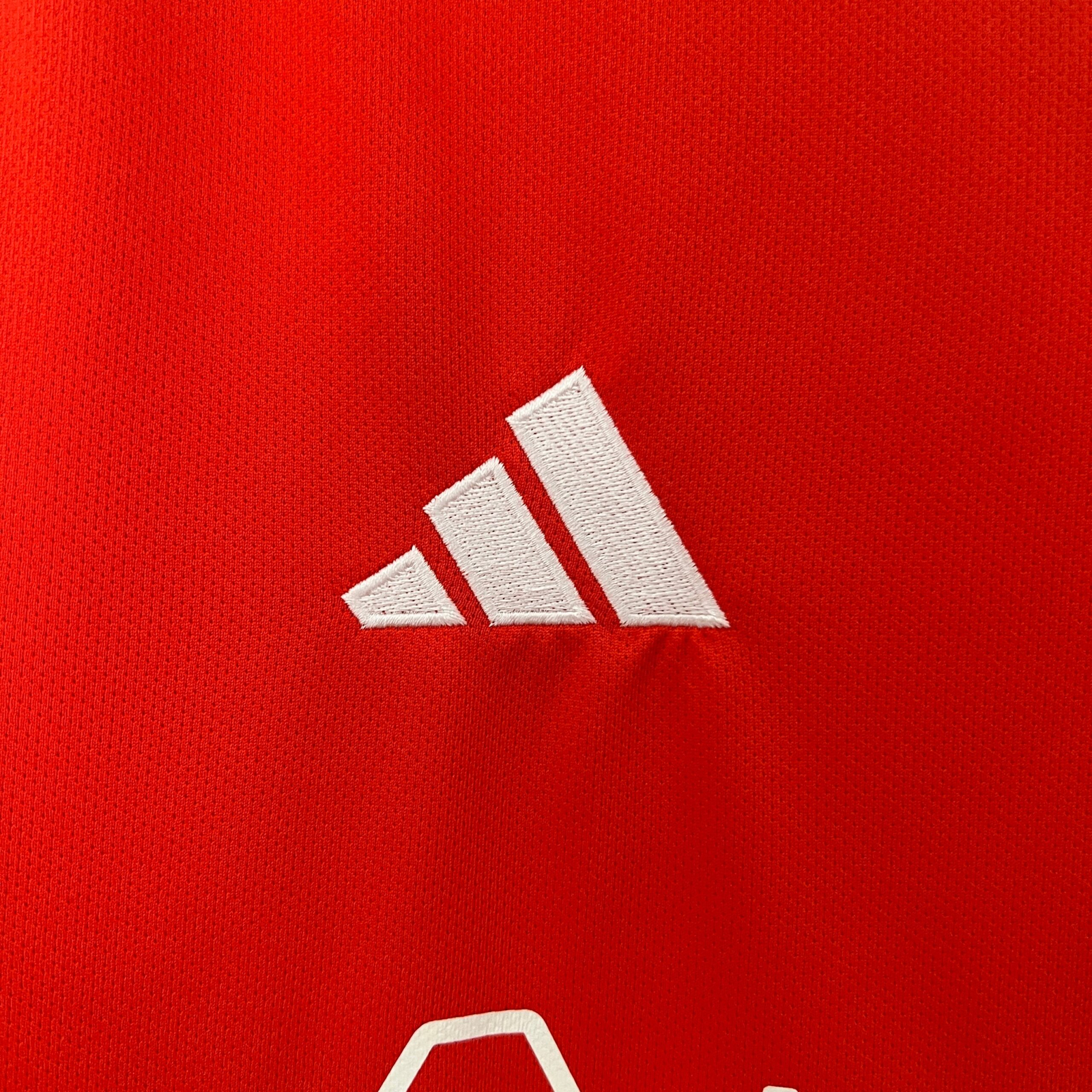 CAMISETA PRIMERA EQUIPACIÓN INTERNACIONAL 2024 VERSIÓN FAN - Imagen 4