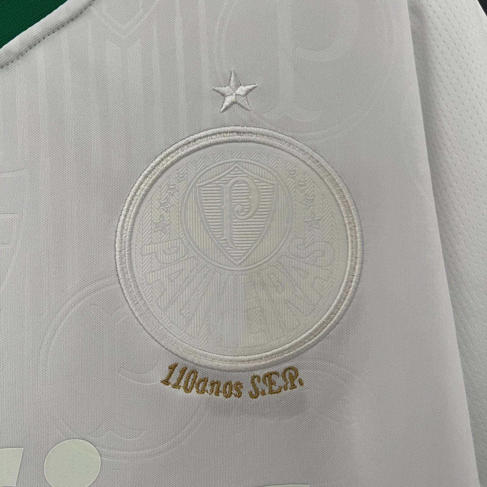 CAMISETA EDICIÓN ESPECIAL PALMEIRAS 2024 VERSIÓN FAN - Imagen 5