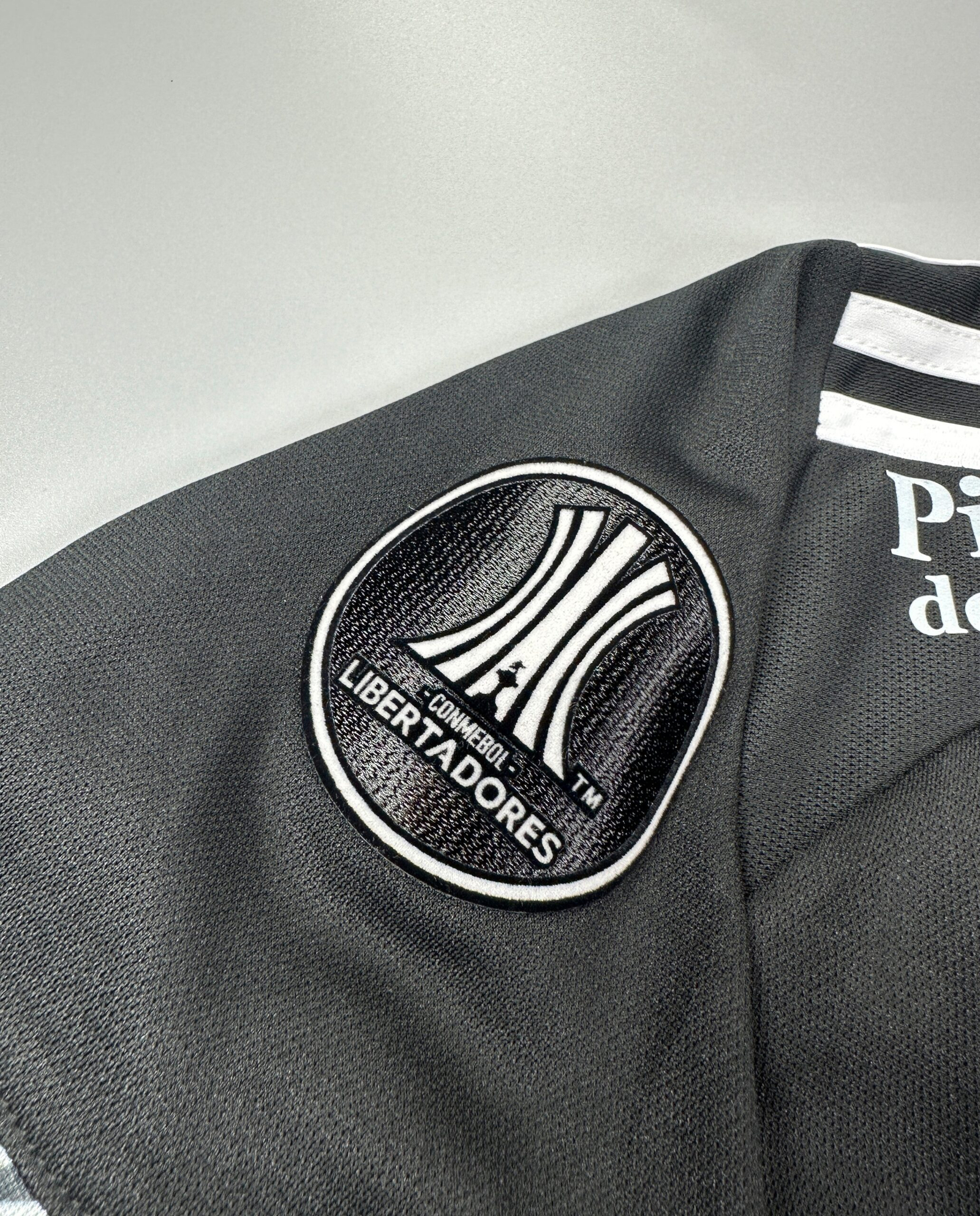 CAMISETA SEGUNDA EQUIPACIÓN COLO COLO 2024 VERSIÓN FAN - Imagen 4