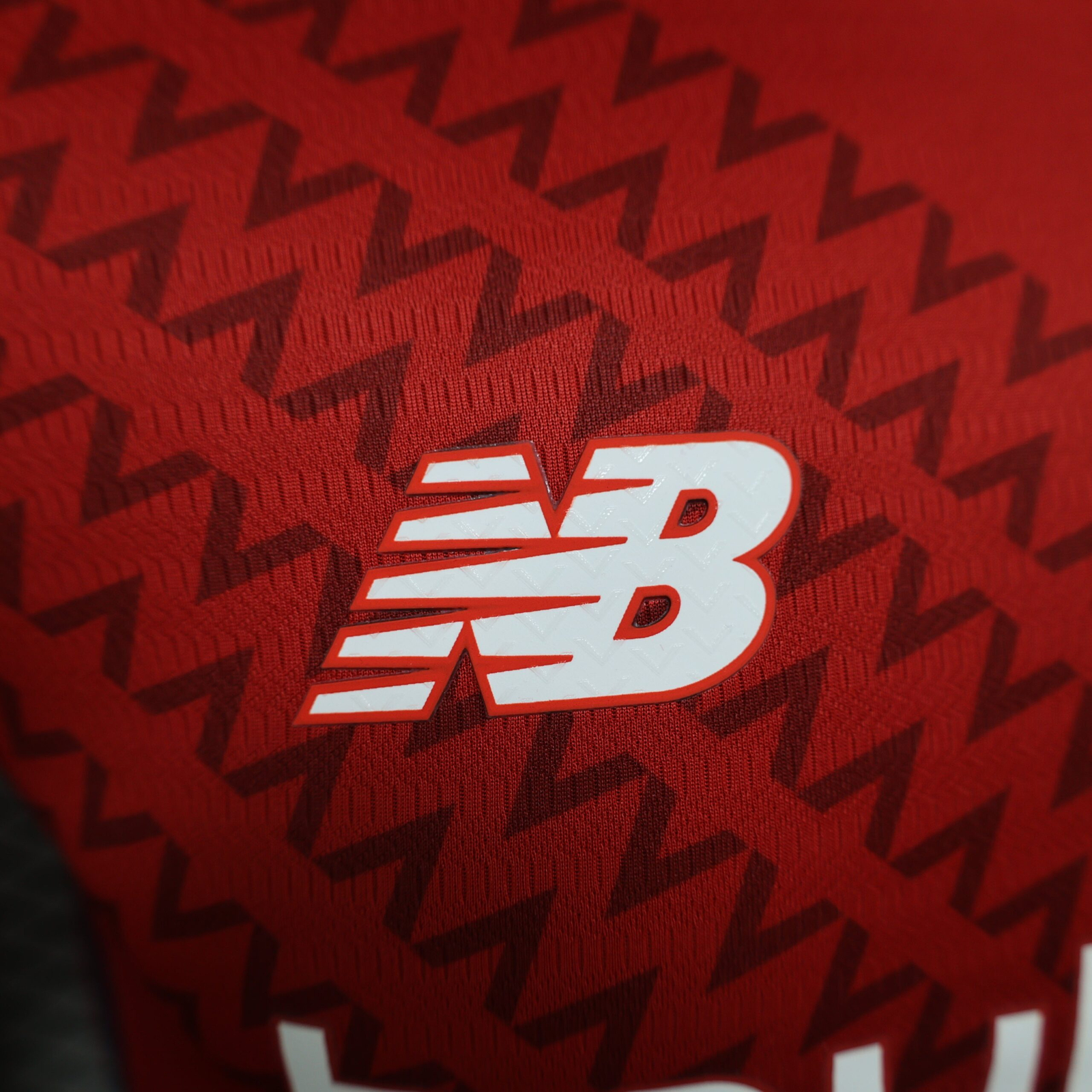 CAMISETA PRIMERA EQUIPACIÓN LILLE 24/25 VERSIÓN JUGADOR - Imagen 3