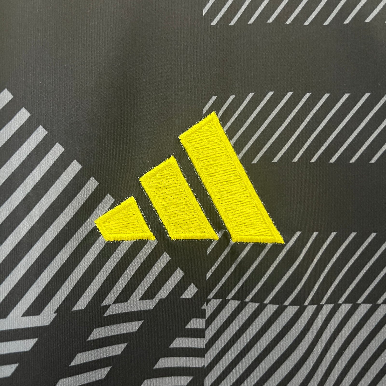 CAMISETA PRIMERA EQUIPACIÓN ESCOCIA 2024 VERSIÓN FAN - Imagen 3