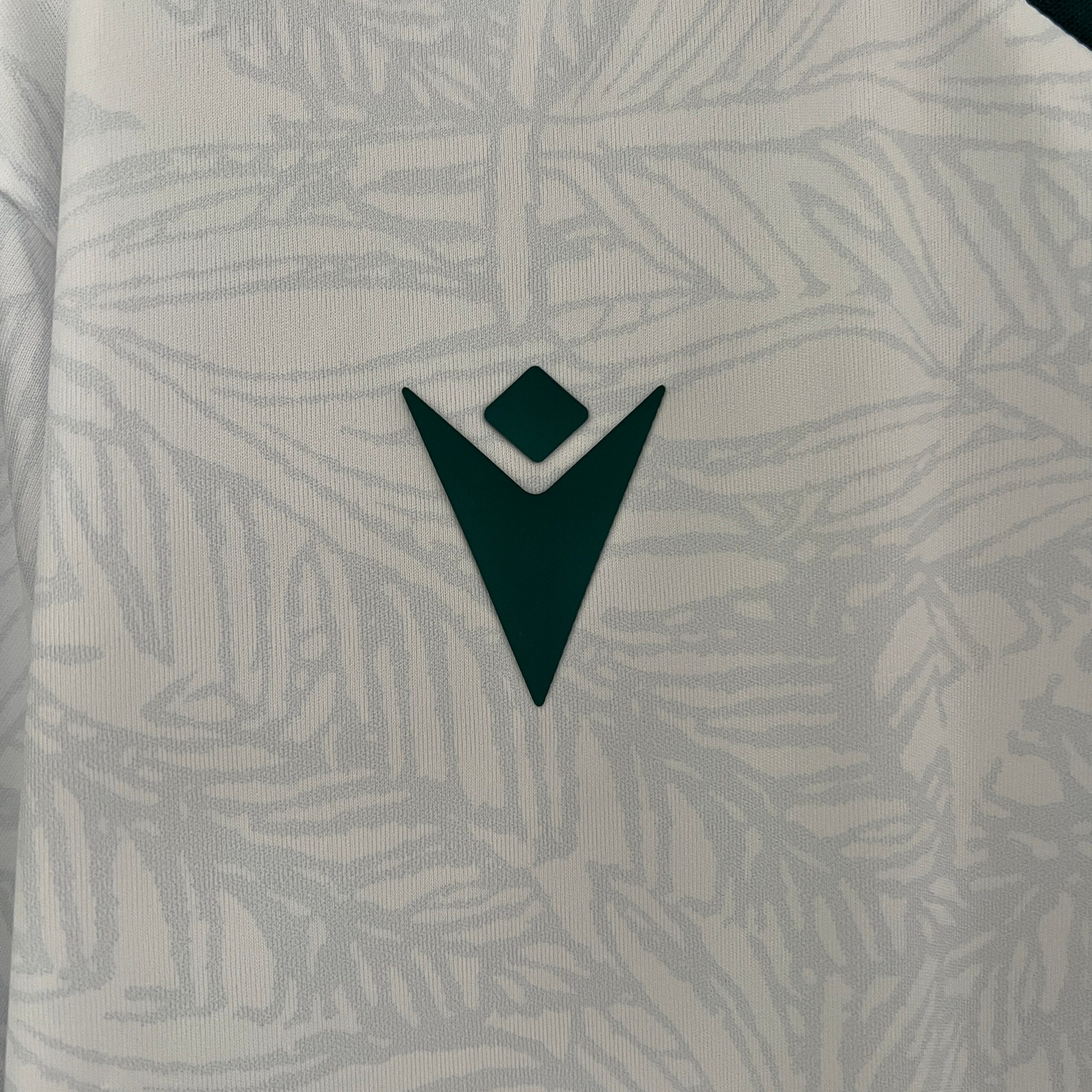 CAMISETA SEGUNDA EQUIPACIÓN SANTIAGO WANDERERS 2024 VERSIÓN FAN - Imagen 4