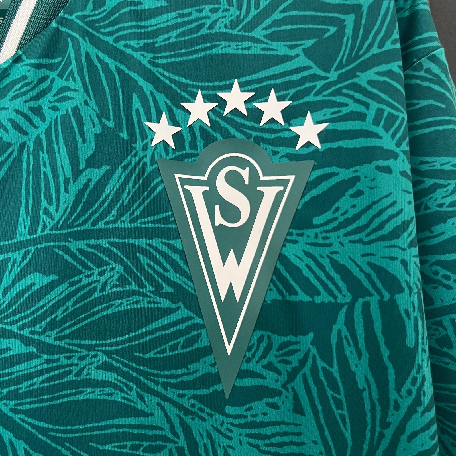CAMISETA PRIMERA EQUIPACIÓN SANTIAGO WANDERERS 2024 VERSIÓN FAN - Imagen 4