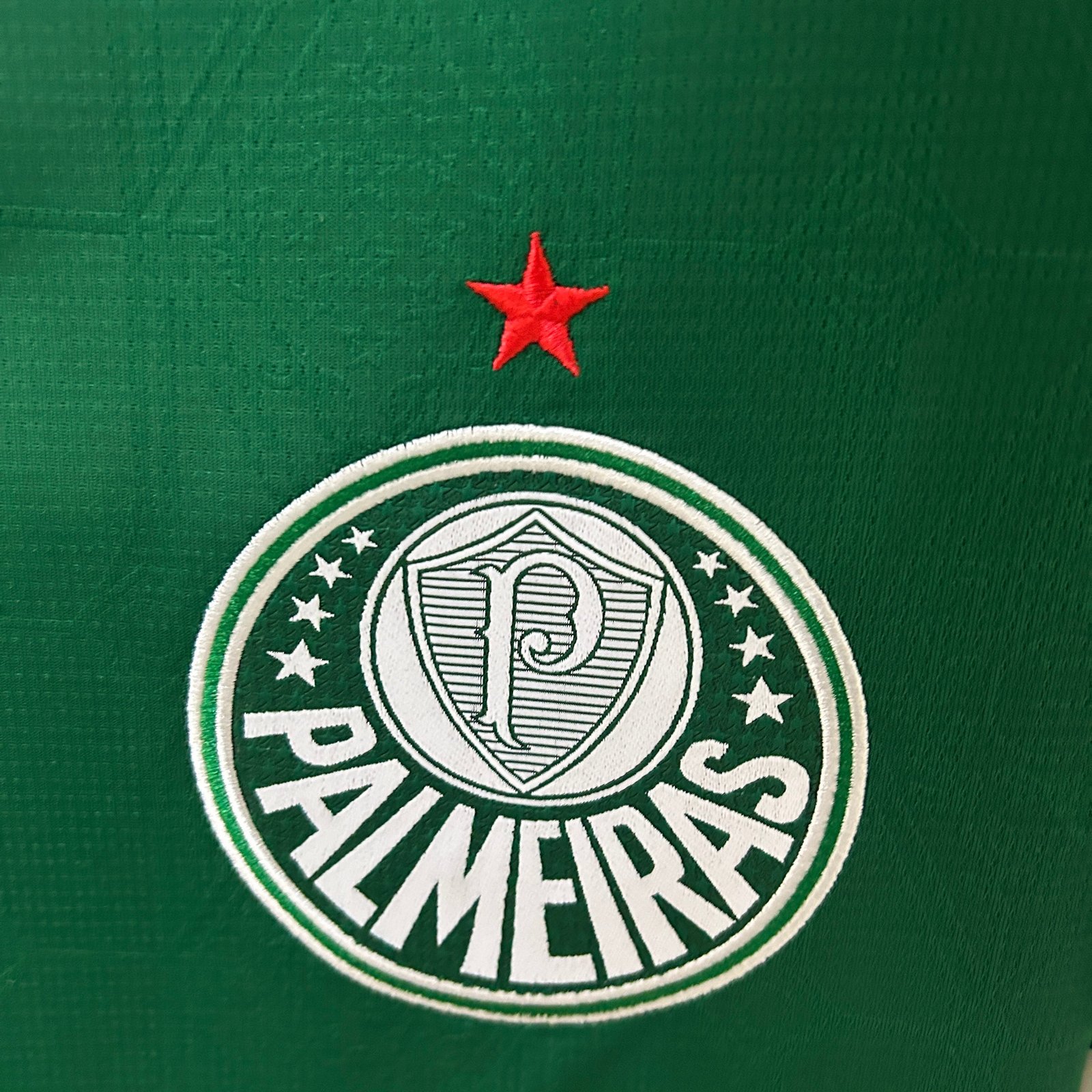 CAMISETA PRIMERA EQUIPACIÓN PALMEIRAS 2025 VERSIÓN FAN - Imagen 4
