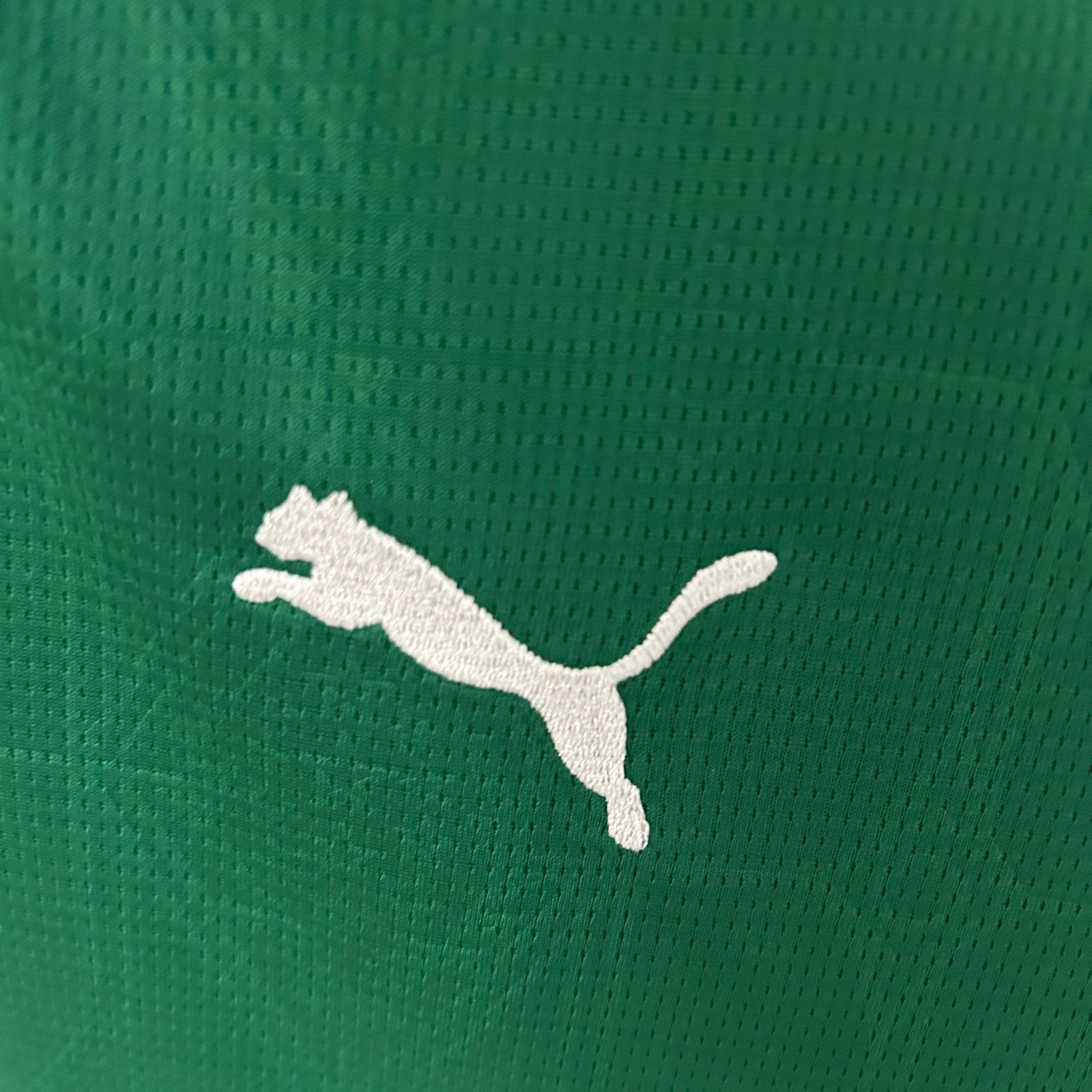 CAMISETA PRIMERA EQUIPACIÓN PALMEIRAS 2025 VERSIÓN FEMENINA - Imagen 3