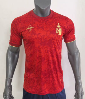CAMISETA CONCEPTO ESPAÑA 2024 VERSIÓN FAN