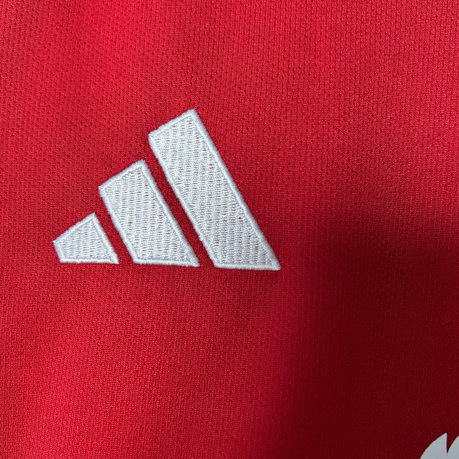 CAMISETA PRIMERA EQUIPACIÓN MANCHESTER UNITED 25/26 VERSIÓN INFANTIL - Imagen 3