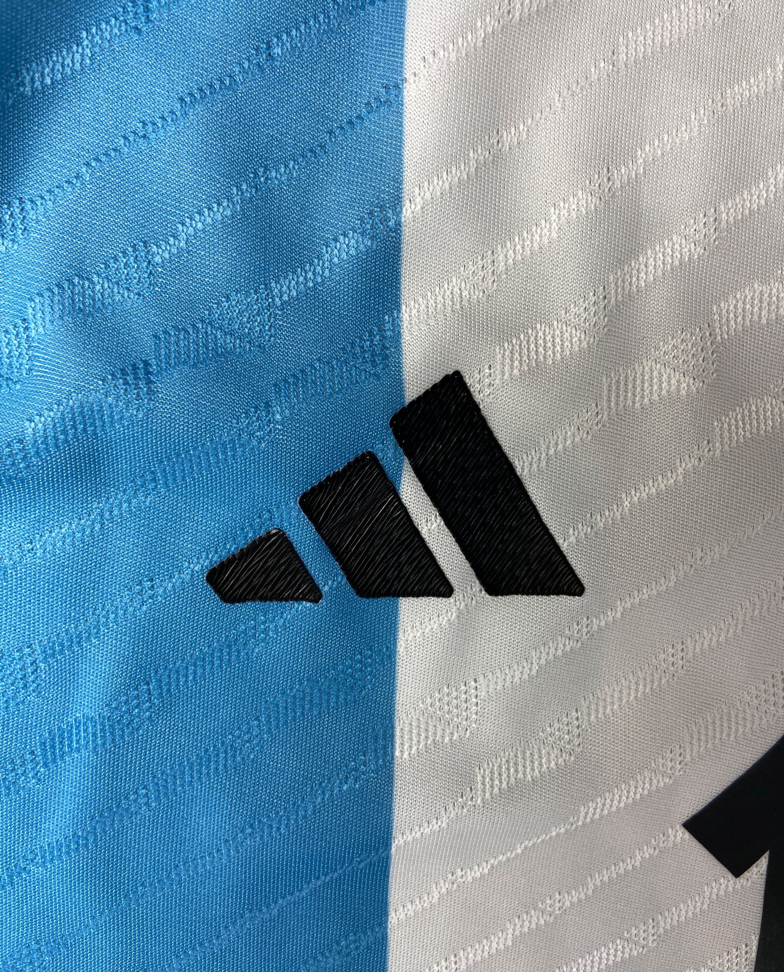 CAMISETA PRIMERA EQUIPACIÓN ARGENTINA 2022 VERSIÓN JUGADOR - Imagen 3