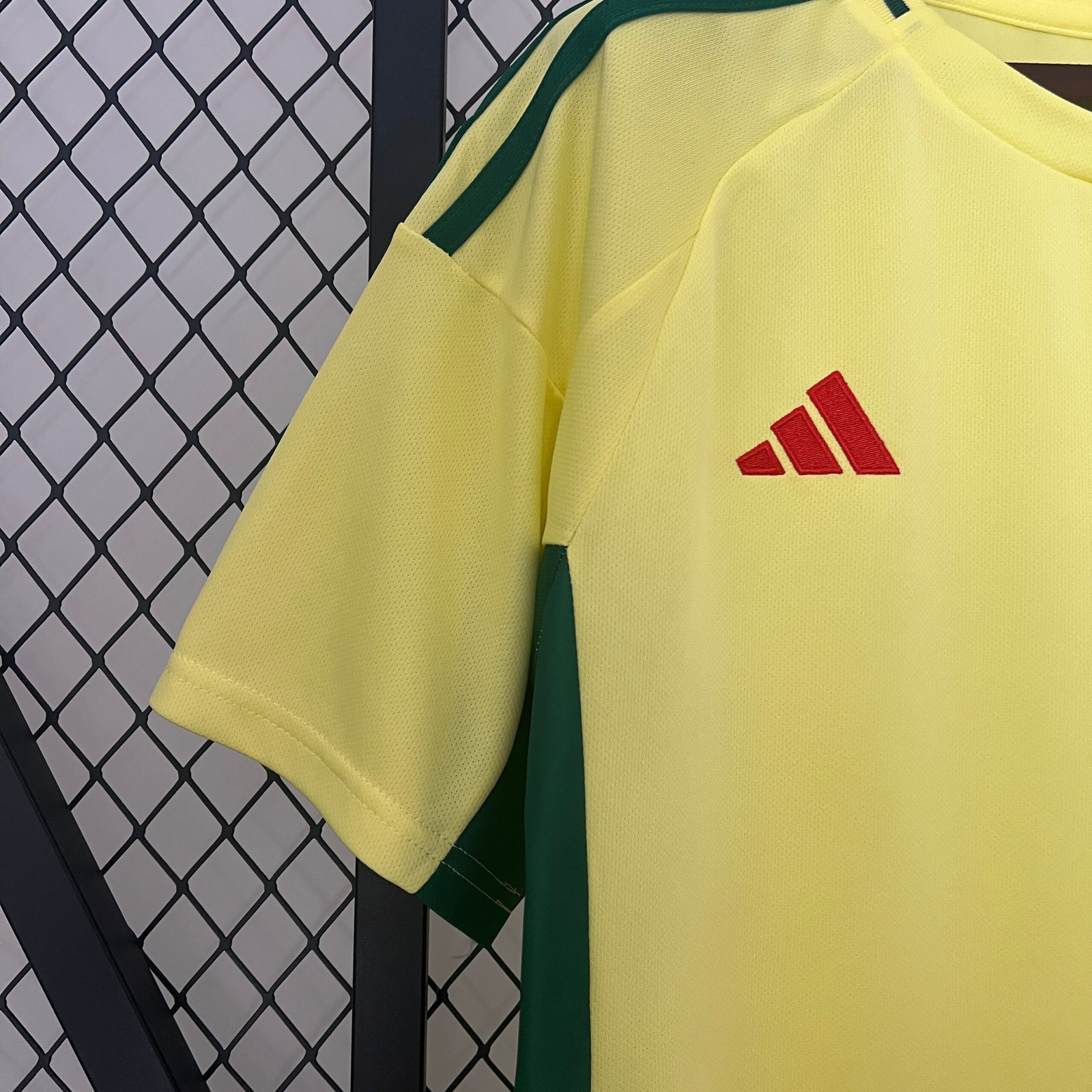 CAMISETA SEGUNDA EQUIPACIÓN GALES 2024 VERSIÓN FAN - Imagen 2