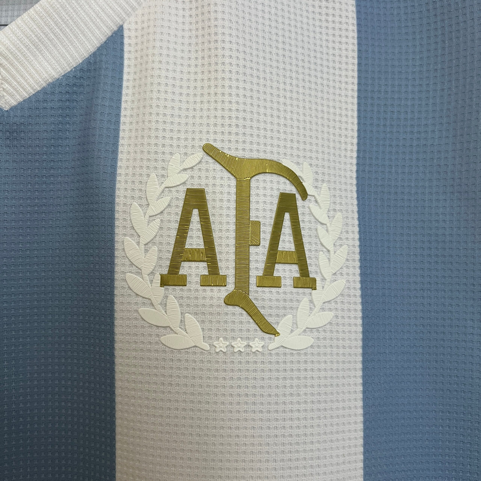 CAMISETA EDICIÓN ESPECIAL ARGENTINA 2024 VERSIÓN FAN - Imagen 3