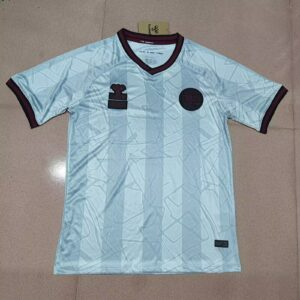 CAMISETA EDICIÓN ESPECIAL DINAMARCA 2024 VERSIÓN FAN
