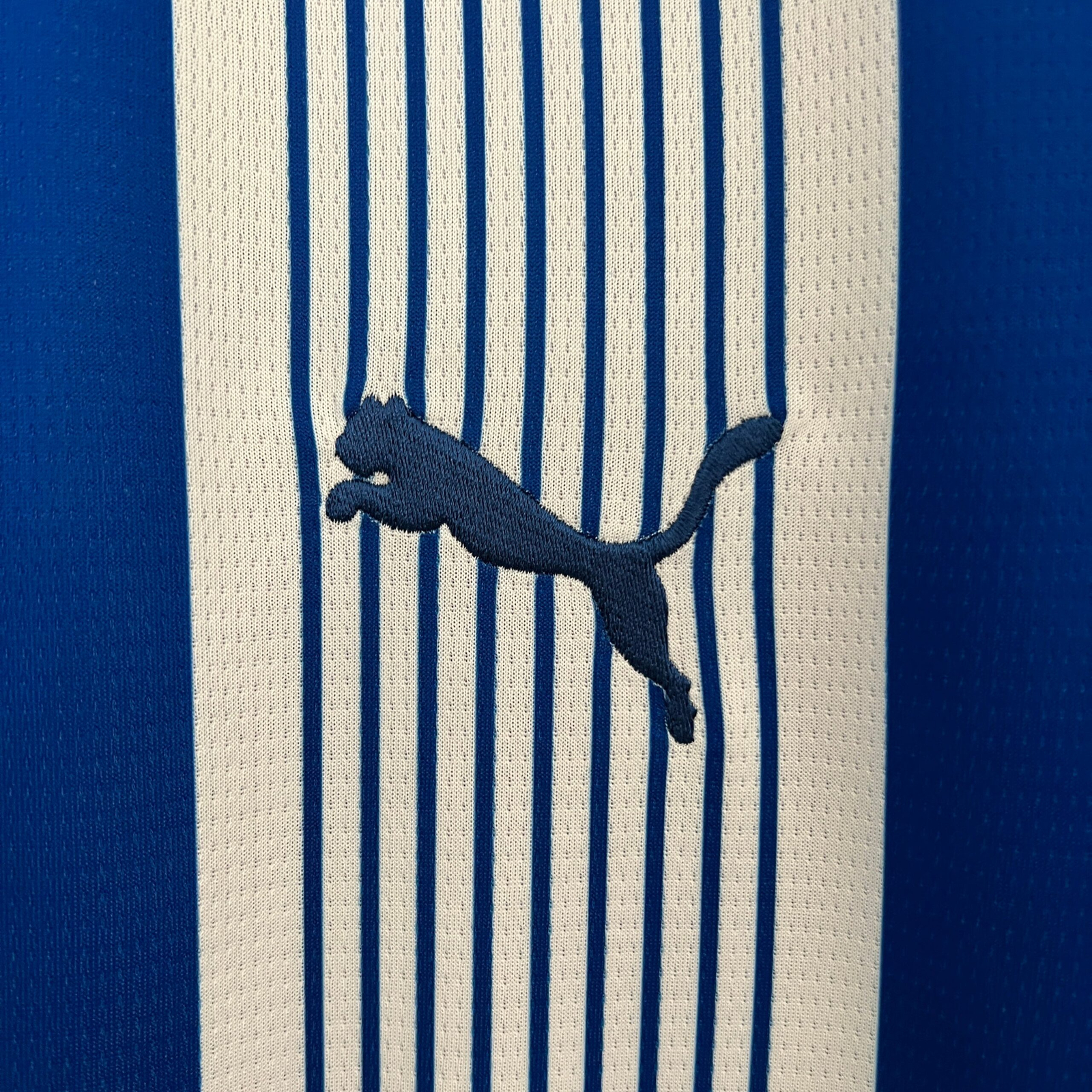 CAMISETA PRIMERA EQUIPACIÓN ALAVÉS 24/25 VERSIÓN FAN - Imagen 3