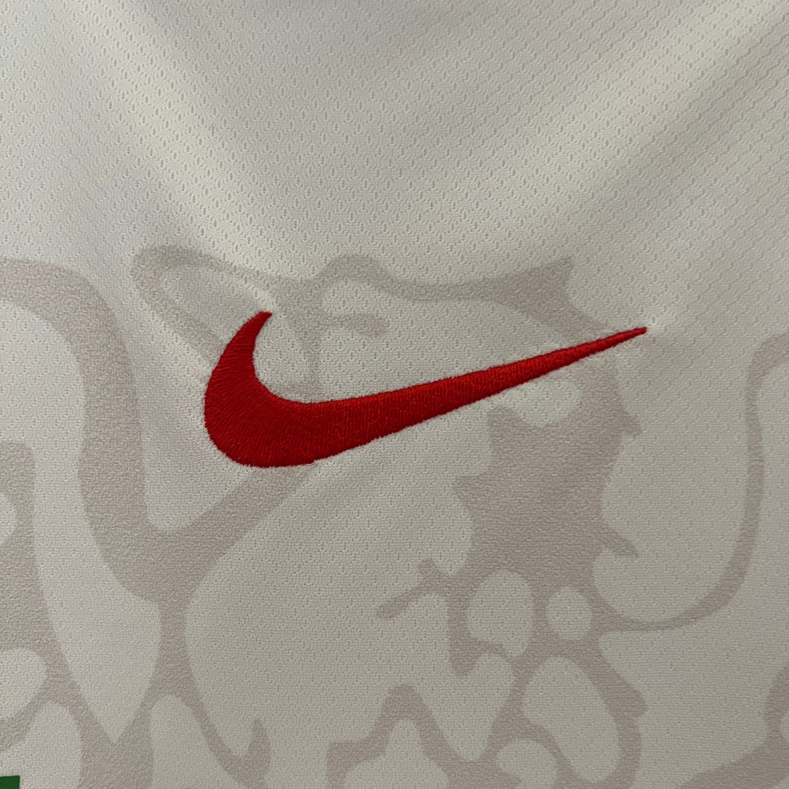 CAMISETA PRIMERA EQUIPACIÓN NIGERIA 2024 VERSIÓN FAN - Imagen 3