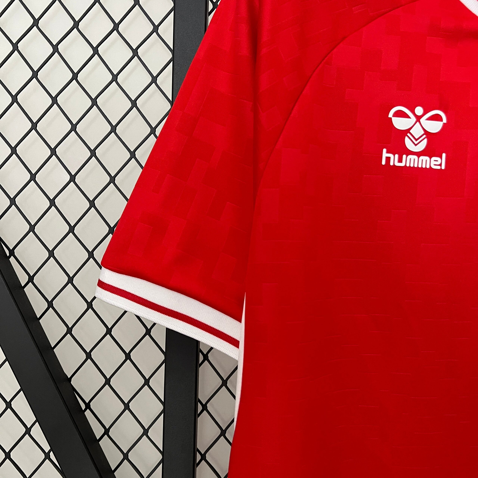 CAMISETA PRIMERA EQUIPACIÓN DINAMARCA 2024 VERSIÓN FAN - Imagen 4