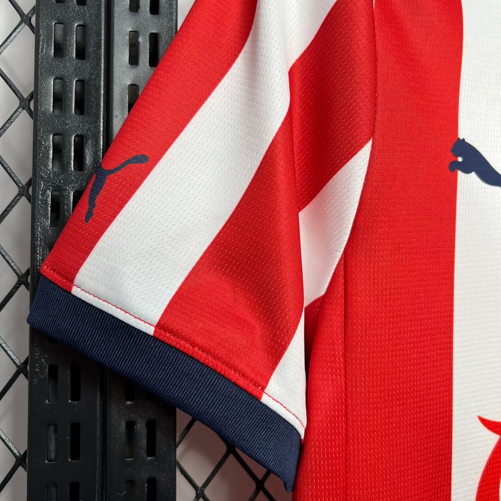 CAMISETA PRIMERA EQUIPACIÓN CHIVAS 24/25 VERSIÓN FAN - Imagen 2