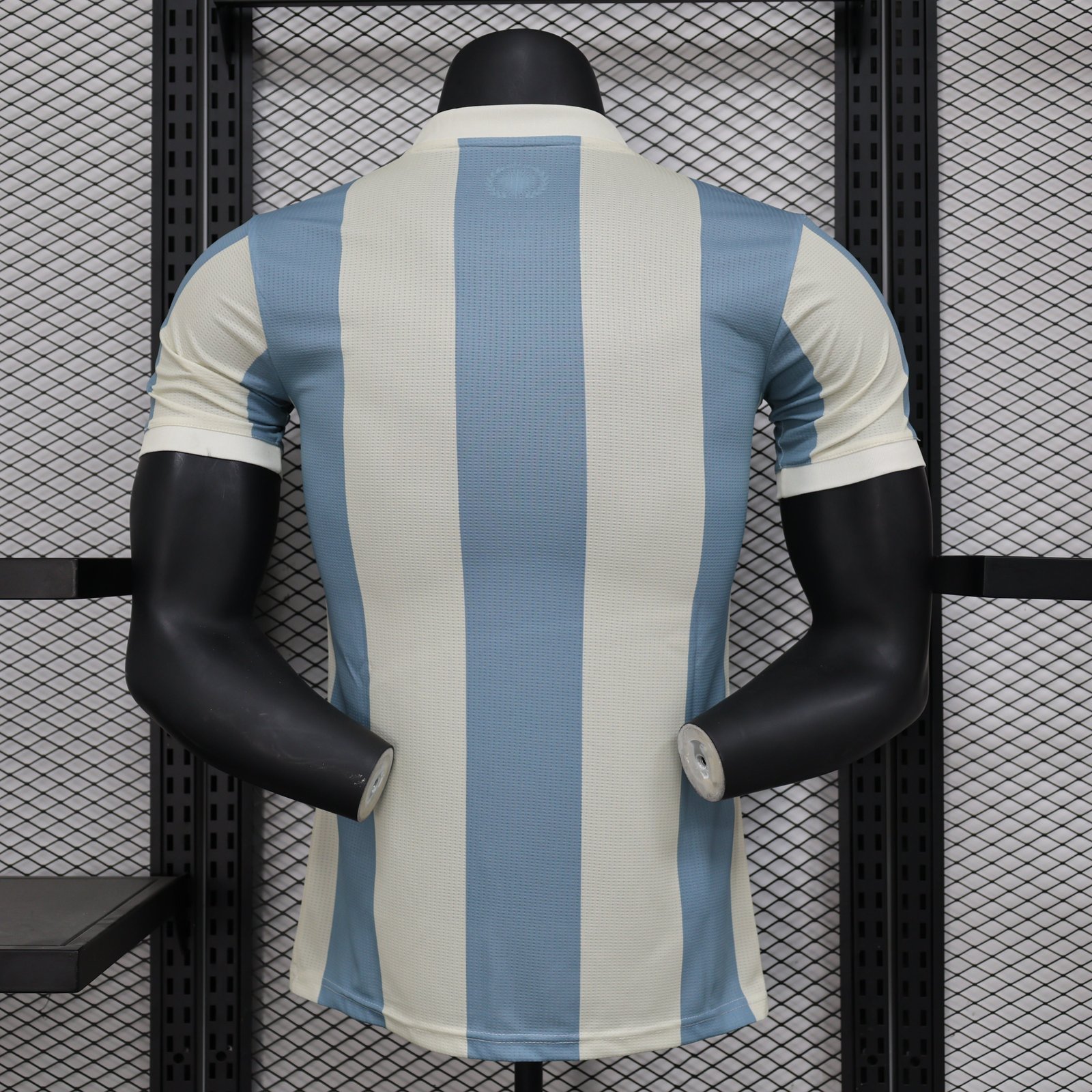 CAMISETA EDICIÓN ESPECIAL ARGENTINA 2024 VERSIÓN JUGADOR - Imagen 9