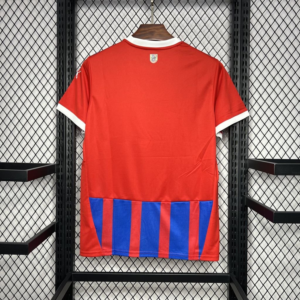 CAMISETA PRIMERA EQUIPACIÓN 1. FC HEIDENHEIM 24/25 VERSIÓN FAN - Imagen 7