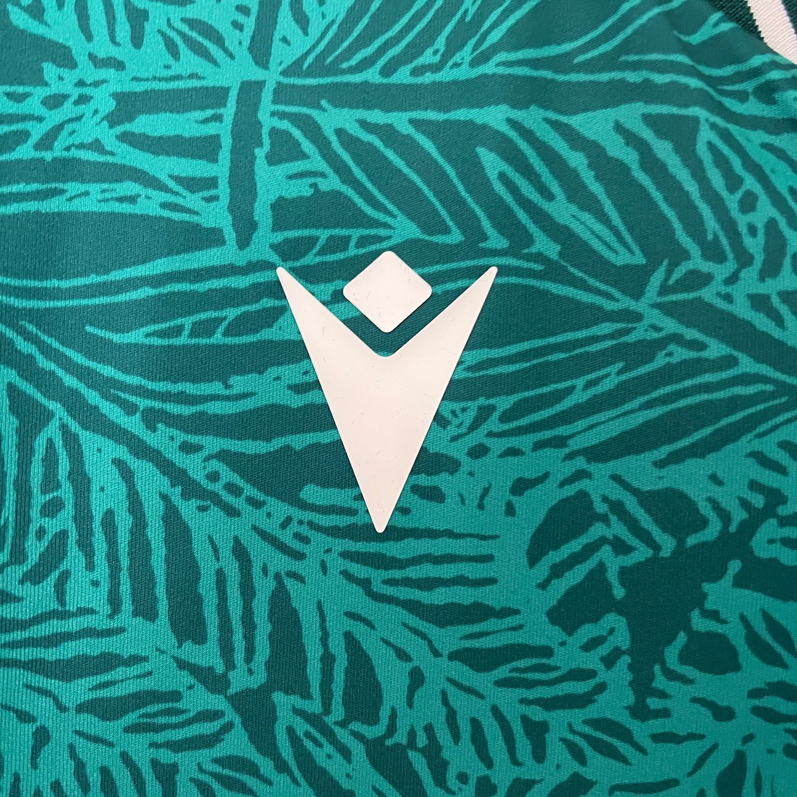 CAMISETA PRIMERA EQUIPACIÓN SANTIAGO WANDERERS 2024 VERSIÓN FAN - Imagen 3