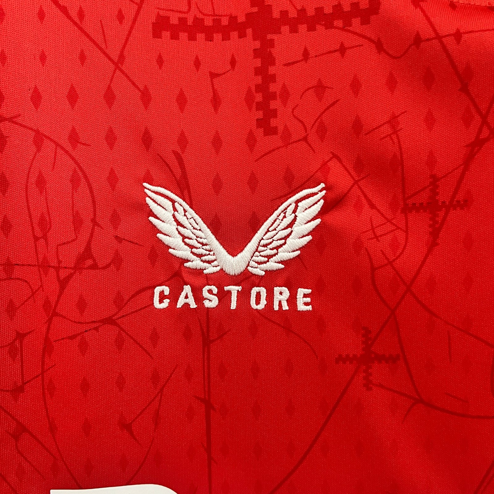 CAMISETA PRIMERA EQUIPACIÓN BAYER LEVERKUSEN 24/25 VERSIÓN FAN - Imagen 3