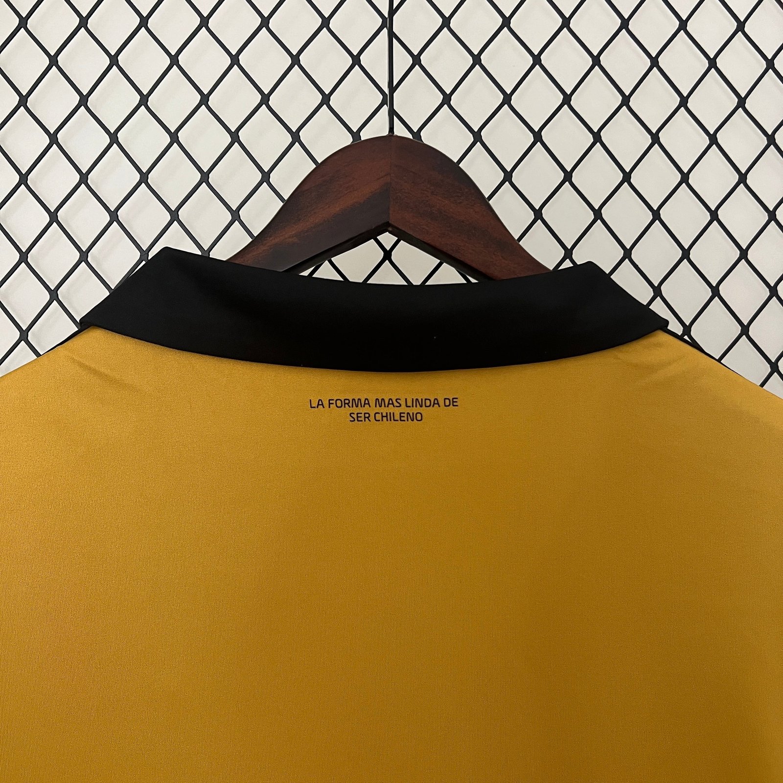 CAMISETA EDICIÓN ESPECIAL COLO COLO 2024 VERSIÓN FAN - Imagen 9