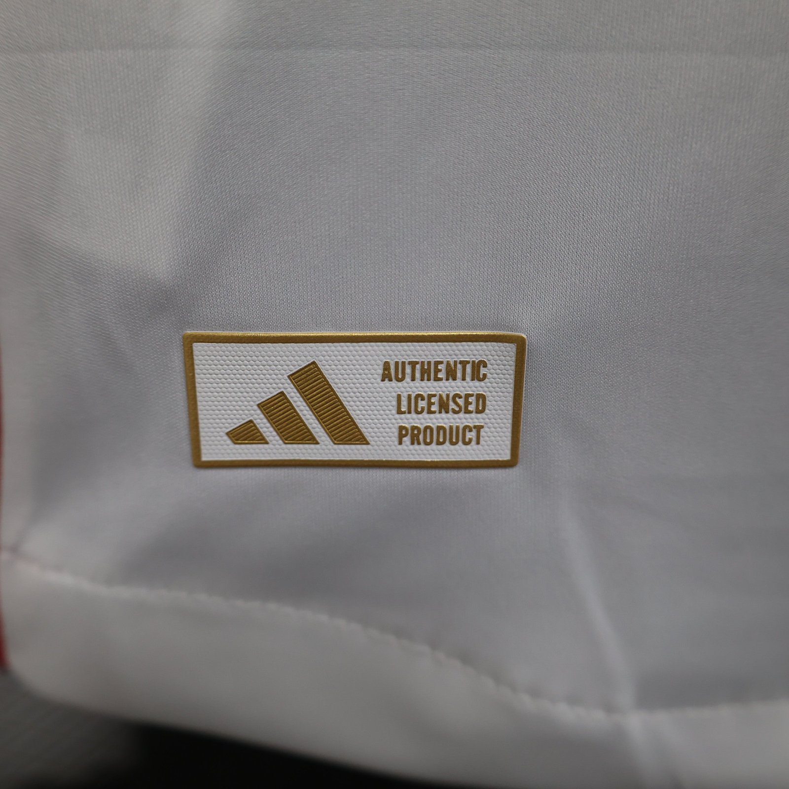 CAMISETA PRIMERA EQUIPACIÓN LYON 24/25 VERSIÓN JUGADOR - Imagen 8