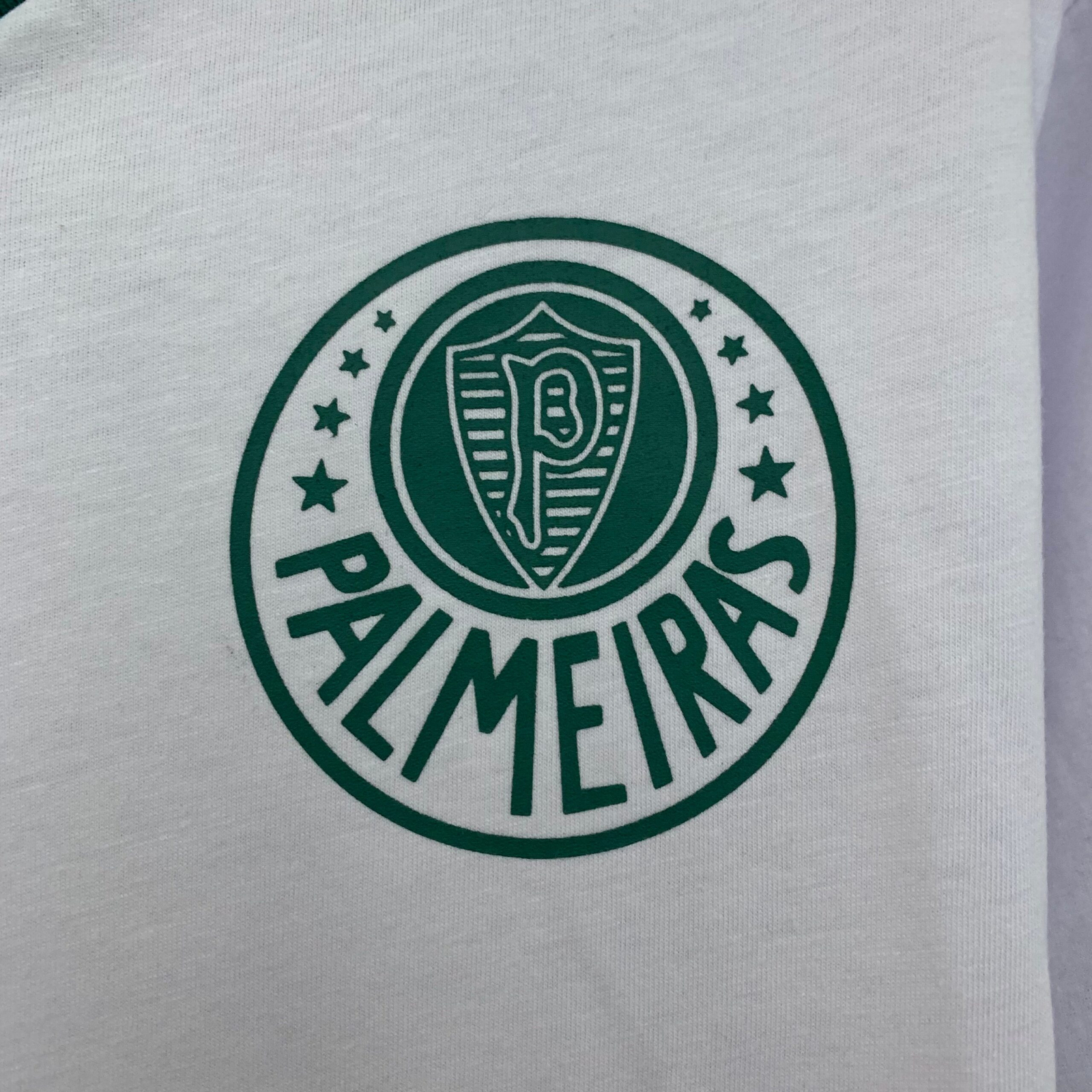 CAMISETA SEGUNDA EQUIPACIÓN PALMEIRAS 1989/91 - Imagen 4
