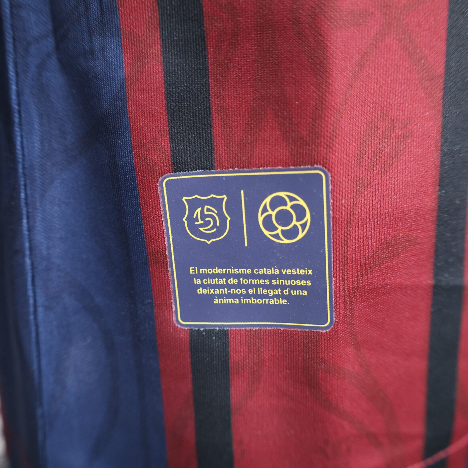CAMISETA EDICIÓN ESPECIAL BARCELONA 24/25 VERSIÓN JUGADOR - Imagen 7