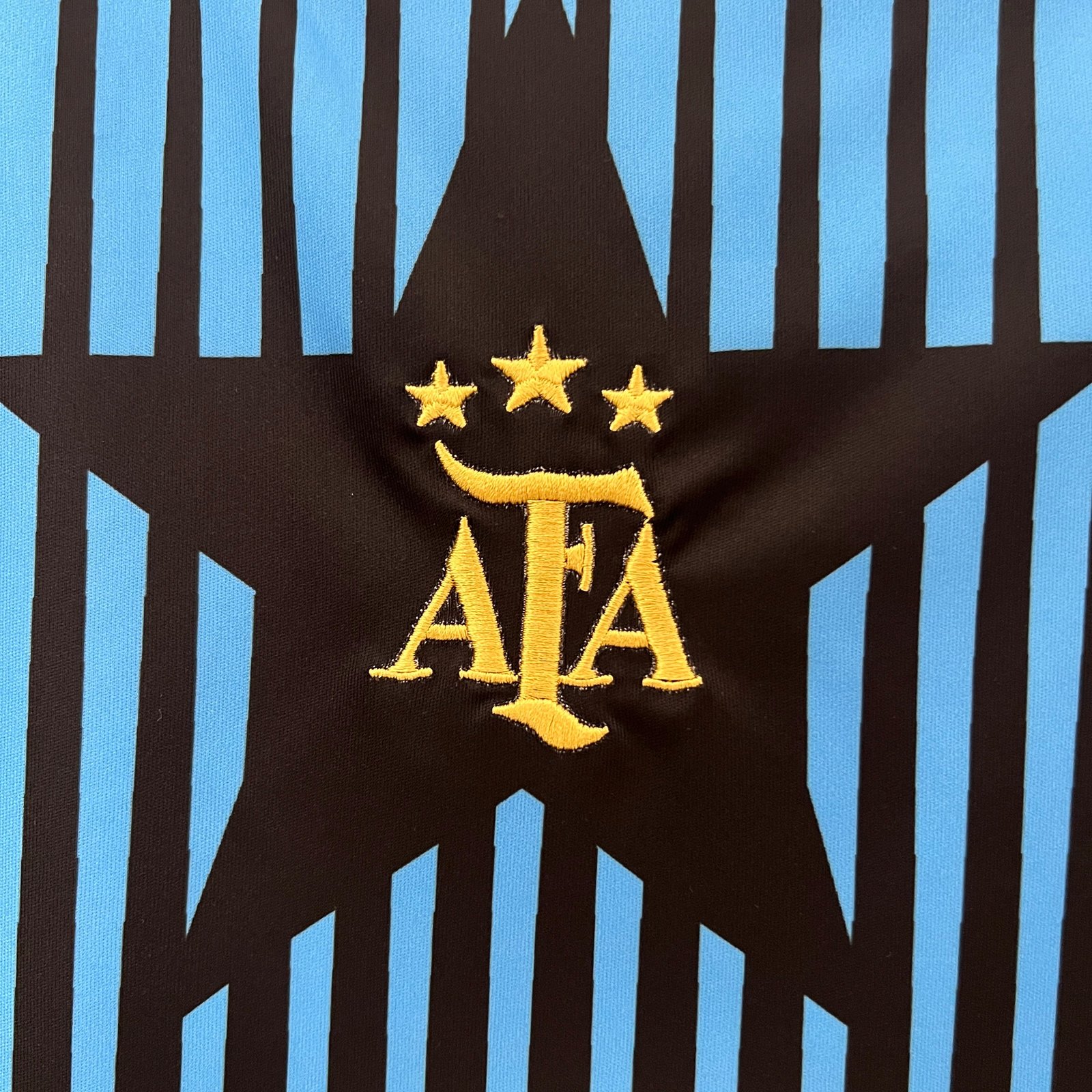 CAMISETA ENTRENAMIENTO ARGENTINA 2024 VERSIÓN FAN - Imagen 3