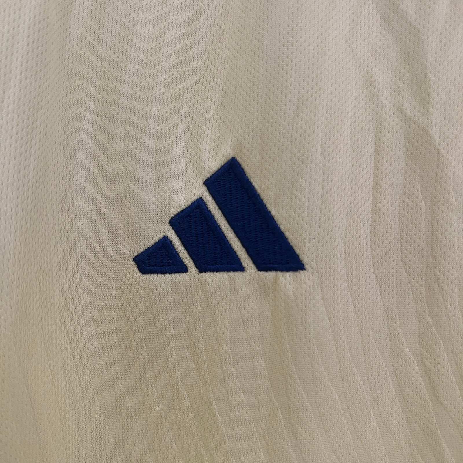 CAMISETA PRIMERA EQUIPACIÓN SUECIA 2024 VERSIÓN FAN - Imagen 3