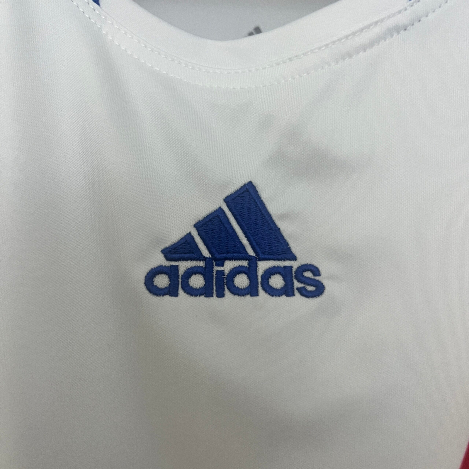 CAMISETA PRIMERA EQUIPACIÓN LYON 2010/11 - Imagen 3