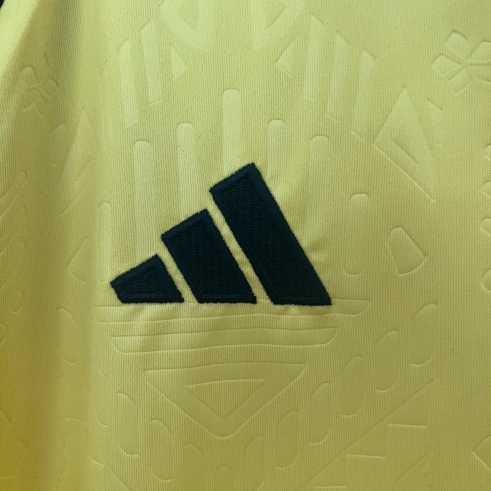CAMISETA PRIMERA EQUIPACIÓN JAMAICA 2024 VERSIÓN FAN - Imagen 3