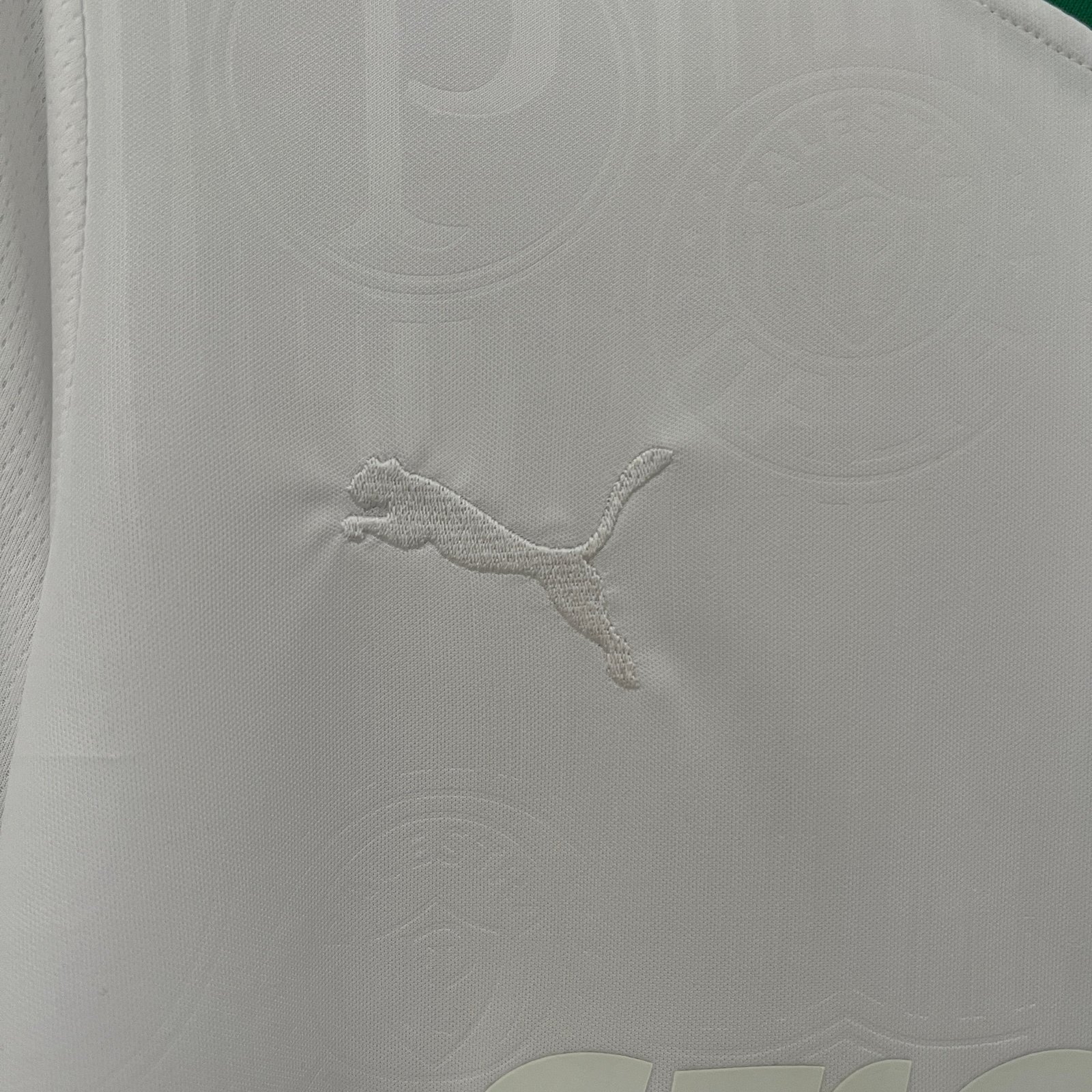 CAMISETA EDICIÓN ESPECIAL PALMEIRAS 2024 VERSIÓN FAN - Imagen 4