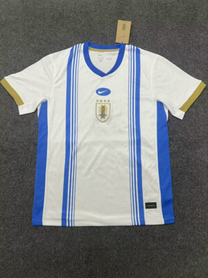 CAMISETA CONCEPTO URUGUAY 2024 VERSIÓN FAN