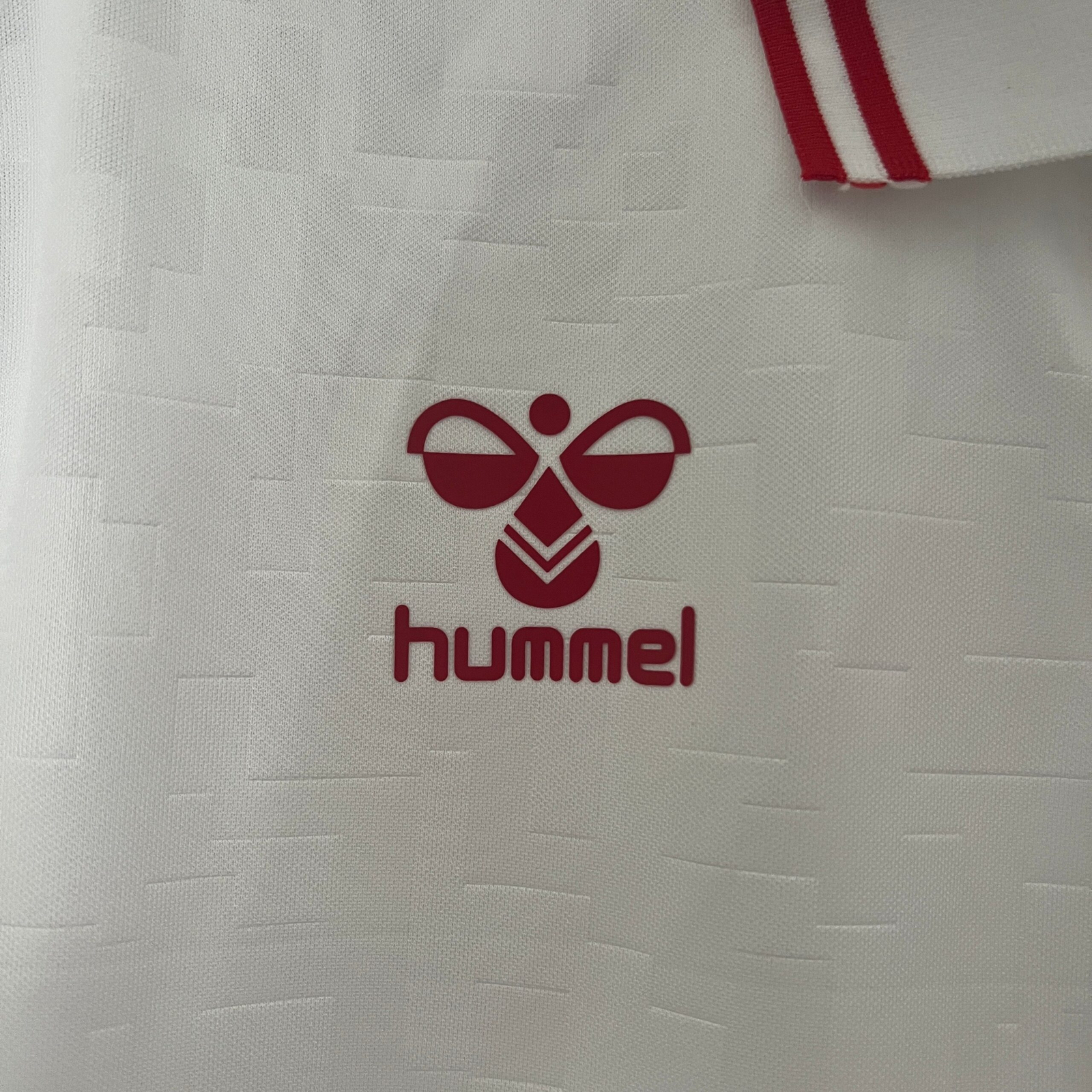 CAMISETA SEGUNDA EQUIPACIÓN DINAMARCA 2024 VERSIÓN FAN - Imagen 4