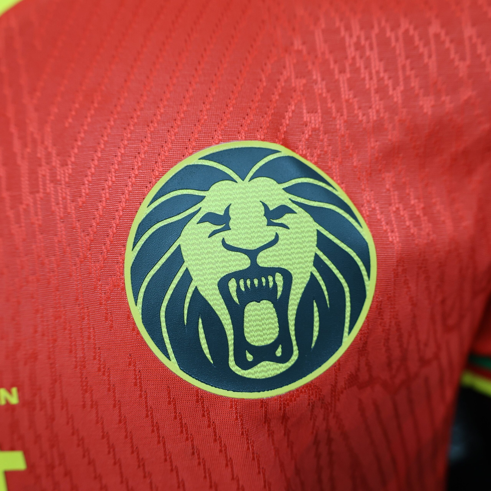 CAMISETA SEGUNDA EQUIPACIÓN CAMERÚN 2025 VERSIÓN JUGADOR - Imagen 5
