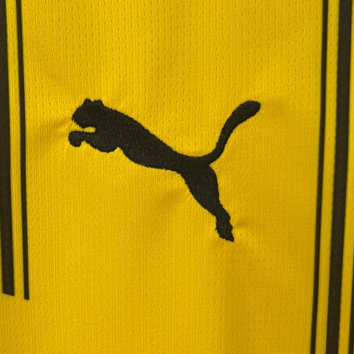 CAMISETA PRIMERA EQUIPACIÓN BORUSSIA DORTMUND 24/25 VERSIÓN FAN - Imagen 3