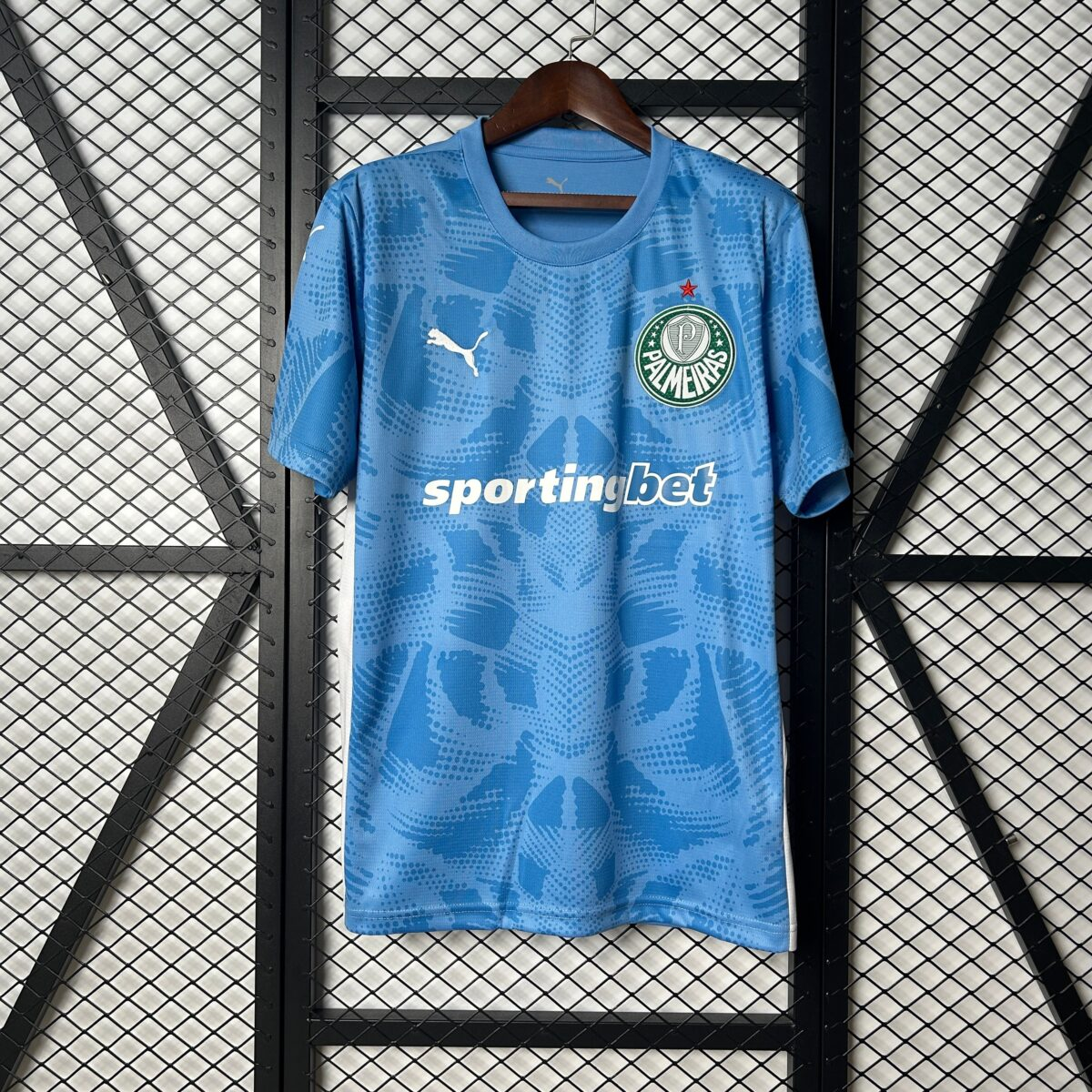 CAMISETA ARQUERO PALMEIRAS 2025 VERSIÓN FAN