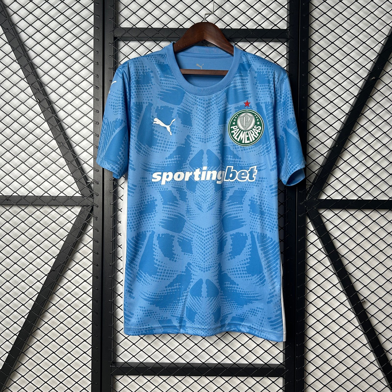 CAMISETA ARQUERO PALMEIRAS 2025 VERSIÓN FAN