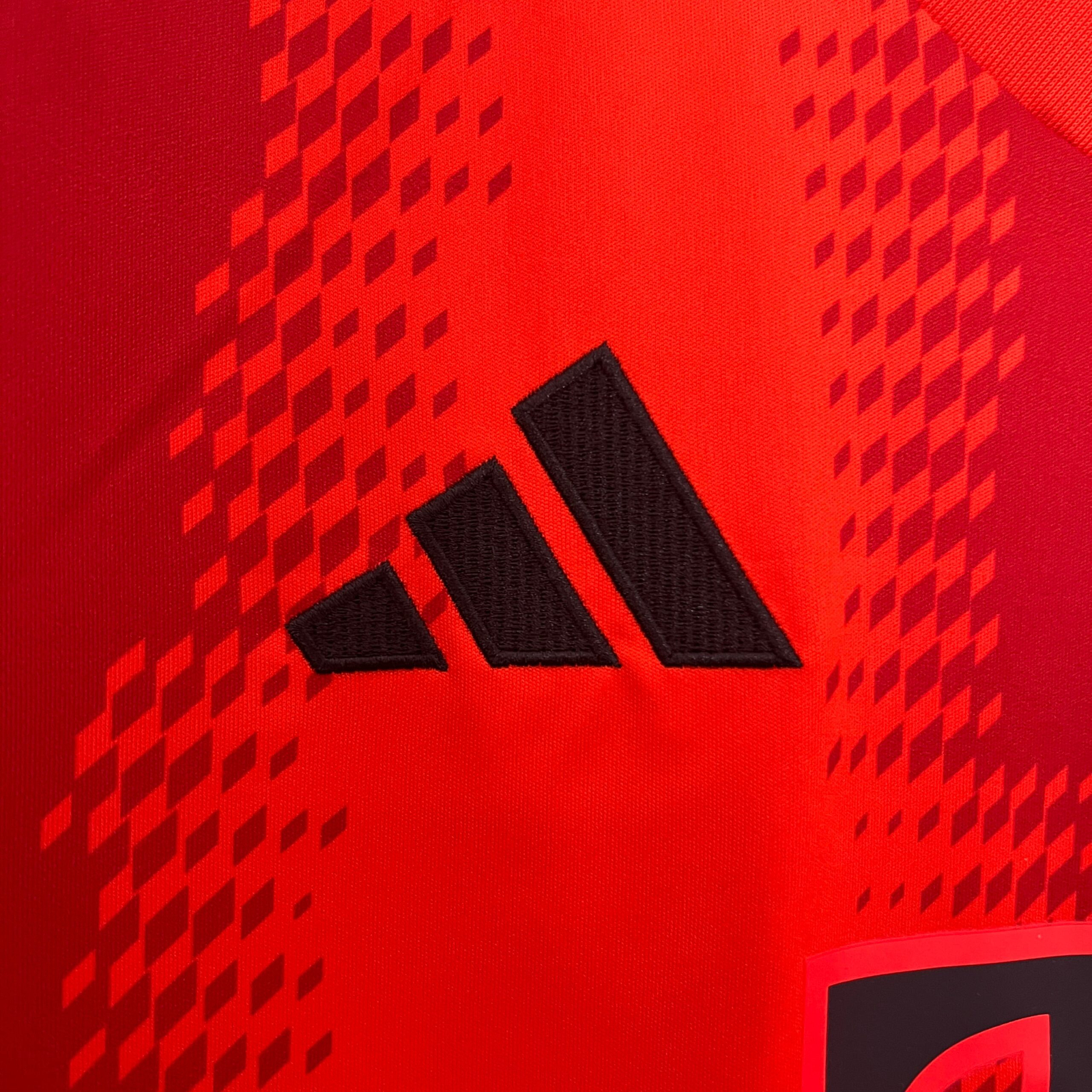 CAMISETA PRIMERA EQUIPACIÓN BAYERN MUNICH 24/25 VERSIÓN FAN - Imagen 3
